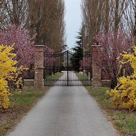 Agriturismo Corte Rocca San Giorgio di Mantova Exteriör bild