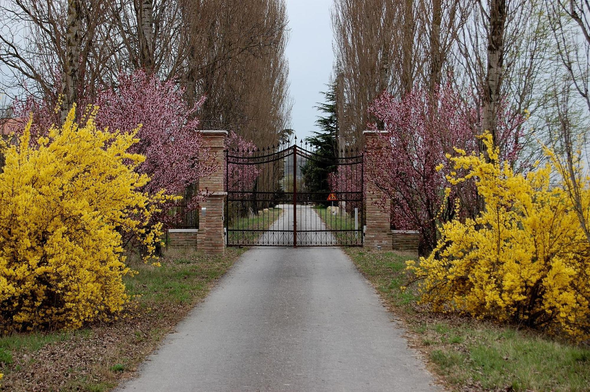 Agriturismo Corte Rocca San Giorgio di Mantova Exteriör bild