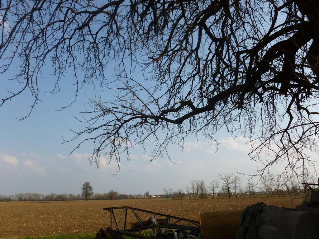 Agriturismo Corte Rocca San Giorgio di Mantova Exteriör bild