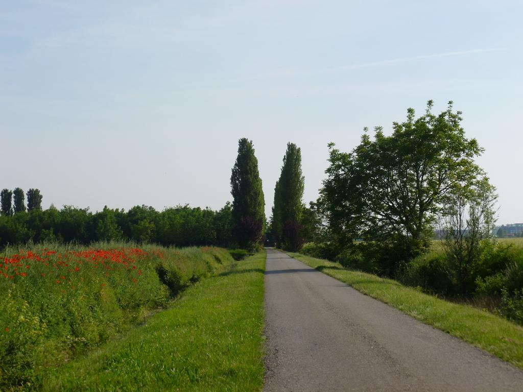 Agriturismo Corte Rocca San Giorgio di Mantova Exteriör bild
